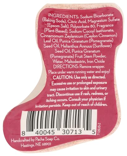 Pacha Soap Spiced Pomegranate Froth Bomb, 4.5 Oz Beauty & Personal Care Pacha Soap Co