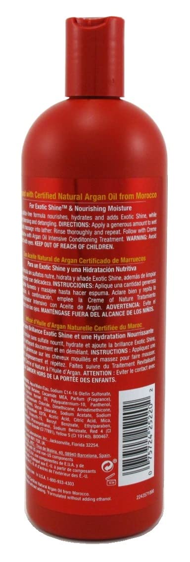 Creme Of Nature Argan Oil Shampoo Sulfate-Free 20oz (591ml) (2 Pack) Beauty & Personal Care Creme of Nature