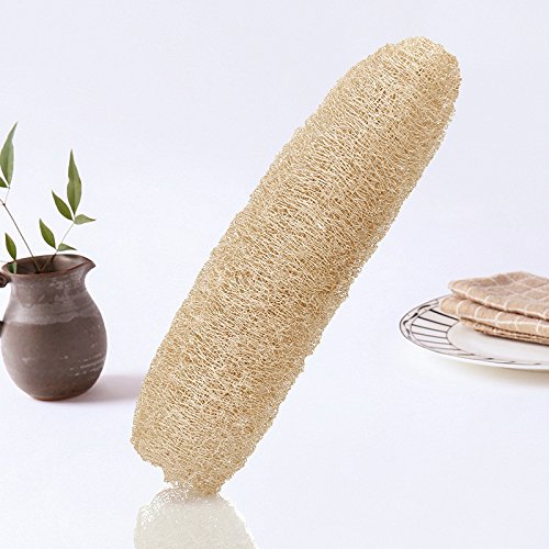 A 100% natural organic sponge bath sponge Premium Quality Lofa Loofa Luffa Loffa for exfoliating your skin Beauty and Personal Care sincepeneer