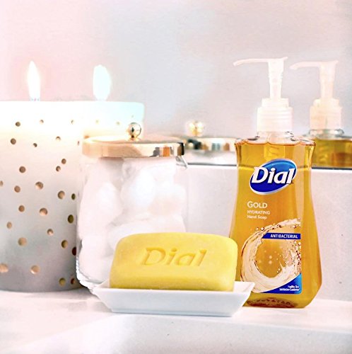 Dial Antibacterial Liquid Hand Soap, Gold, 9.375 Fluid Ounce (Pack of 4) Beauty & Personal Care Dial