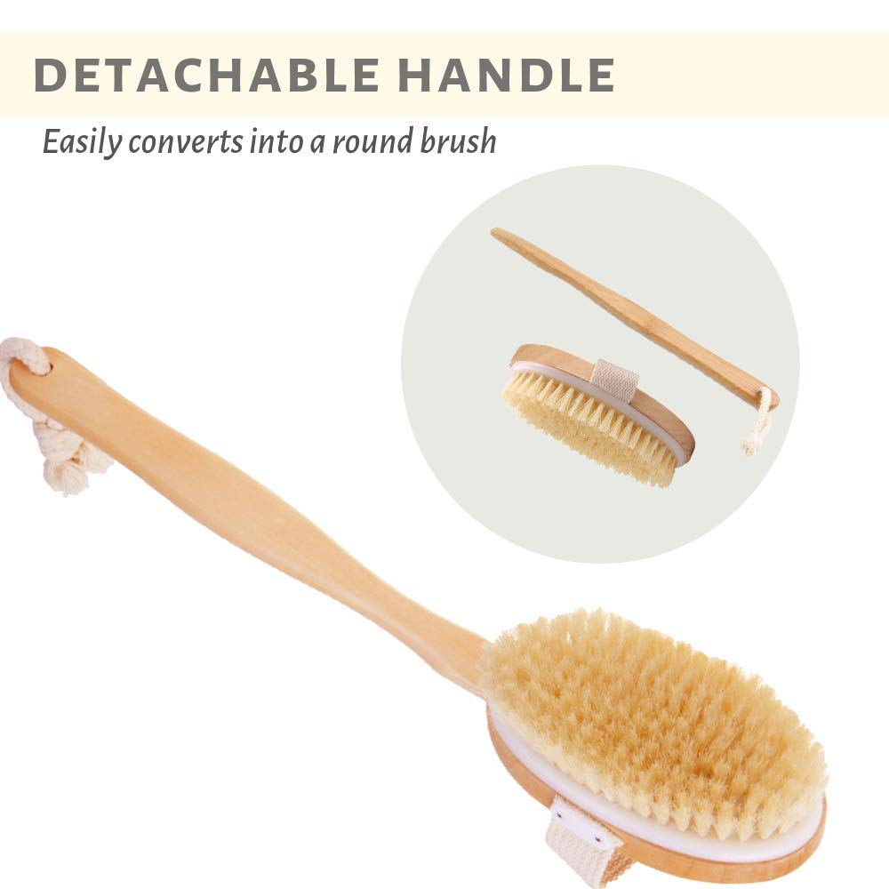 Touch Me 3 Set Body Brush Set - Long Wooden Dry Bath Body Back Brush, Contour Handle Natural Bristle Brush and Facial Brush Beauty and Personal Care Touch Me