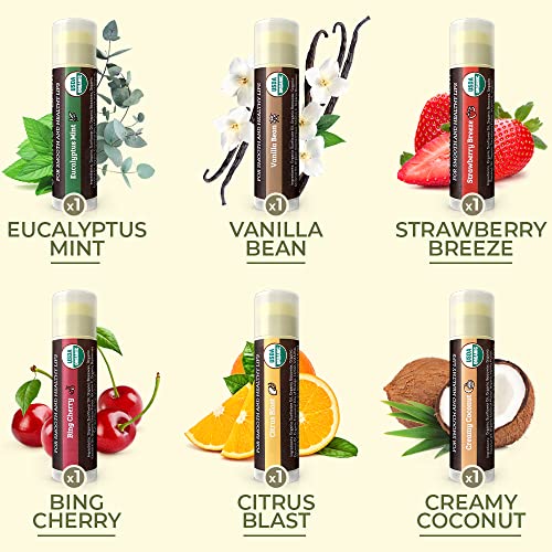 Earth's Daughter USDA Organic Lip Balm 6-Pack - Fruit Flavors, Beeswax, Coconut Oil, Vitamin E - Best Lip Repair Chapstick for Dry Cracked Lips Beauty & Personal Care Earth's Daughter