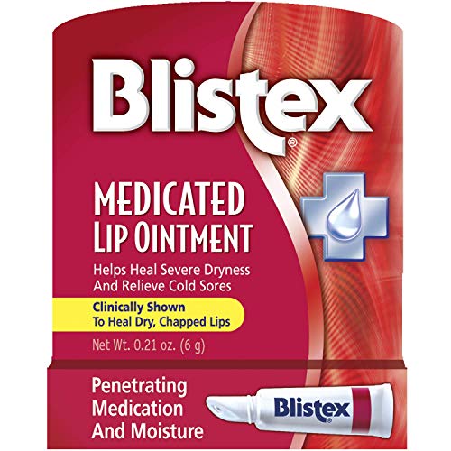 Blistex Medicated Lip Ointment, 0.21 Ounce Tube, Pack of 24 - Relieves Cold Sores & Helps Heal Dry Chapped Lips, Pain Relief from Lip Sores Beauty and Personal Care Blistex
