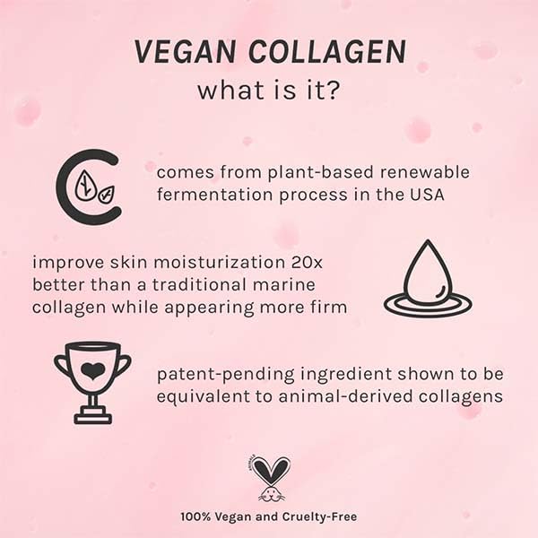 Pacifica Vegan Collagen Cream Gel Facial Cleanser - Daily Foaming Face Wash & Makeup Remover, Hydrating Anti-Aging Face Wash for Dry & Sensitive Skin Beauty & Personal Care Pacifica