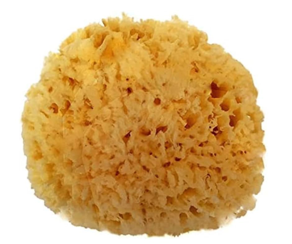 Spa Destinations Natural Sea Wool Sponge 5-6" Natural Renewable Resource Bath & Shower Beauty & Personal Care Spa Destinations