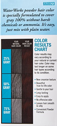 Water Works Water Activated Permanent Powder Hair Color for Men and Women, #23 Natural Dark Brown Beauty & Personal Care Water Works