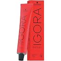Schwarzkopf Igora Royal Color Creme Tube 6-68 Beauty & Personal Care Schwarzkopf