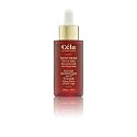 Céla Northern Face Oil | 30?ml Hydrating & Nourishing Facial Oil Infused with Red Maple Bark Extract | Anti-Aging, Softens & Revitalizes Skin Beauty & Personal Care Céla