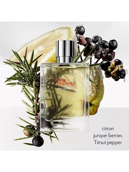 Hermes Terre d'Hermes Eau Givree for Men Eau de Parfum Spray, 3.4 Ounce (Refillable) Beauty & Personal Care Hermès