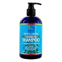 Rainbow Research Organic Herbal Henna Boitin Shampoo, 12 Fluid Ounce Beauty & Personal Care Rainbow Research