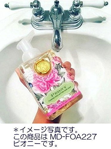 Michel Design Works Scented Foaming Hand Soap, Season's Greetings Beauty & Personal Care Michel Design Works