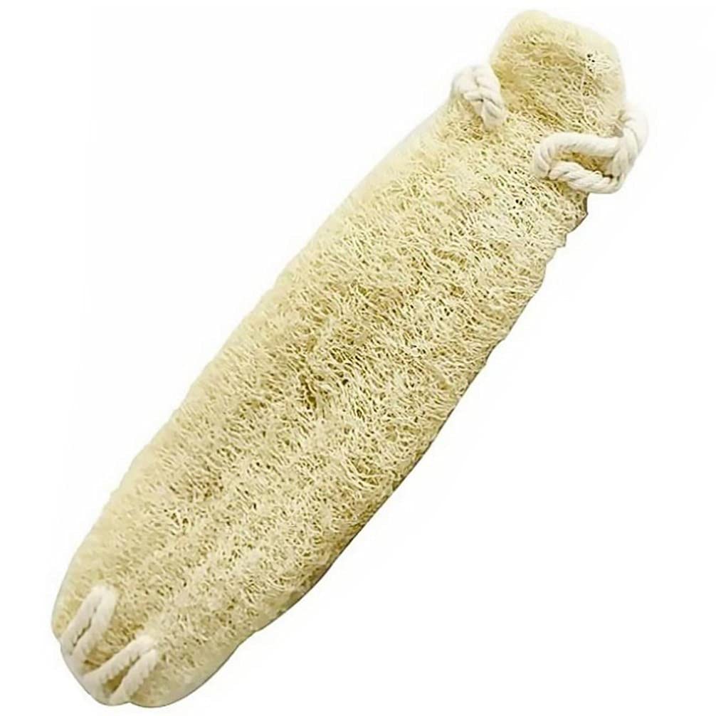 EXCEART Natural Loofah Sponge Back Scrubber for Men and Women 16.5 Inch Exfoliating Body Scrubber with Rope for Shower Suitable for Arms Legs Chest Beauty and Personal Care EXCEART
