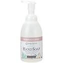 Ginger Lily Farms Botanicals All-Purpose Foaming Hand Soap Refill, 100% Vegan & Cruelty-Free, Whispering Rose Scent, 20 Fl Oz (Pack of 1) Beauty & Personal Care Ginger Lily Farms
