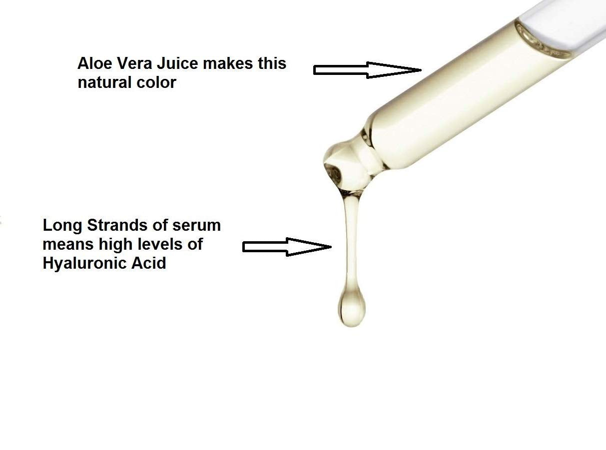 BioPureMED 25% Vitamin CE+Ferulic Acid Serum for Face: Anti Wrinkle Serum Retinol 22, Hyaluronic Acid Best Organic Korean Skin Care Vitamin C Beauty & Personal Care STEMBOTANY