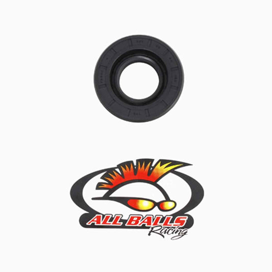 All Balls Double Lip Seal [Special] (30-6401) Beauty and Personal Care All Balls Racing