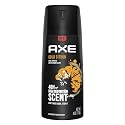 AXE Body Spray for Men, Gold, 4 oz Beauty & Personal Care AXE