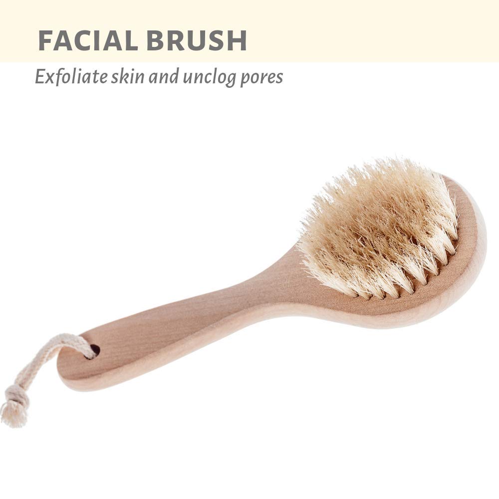 Touch Me 3 Set Body Brush Set - Long Wooden Dry Bath Body Back Brush, Contour Handle Natural Bristle Brush and Facial Brush Beauty and Personal Care Touch Me