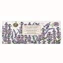 Michel Design Works Shea Butter 3 Soap Gift Set - Lavender Rosemary Beauty & Personal Care Michel Design Works