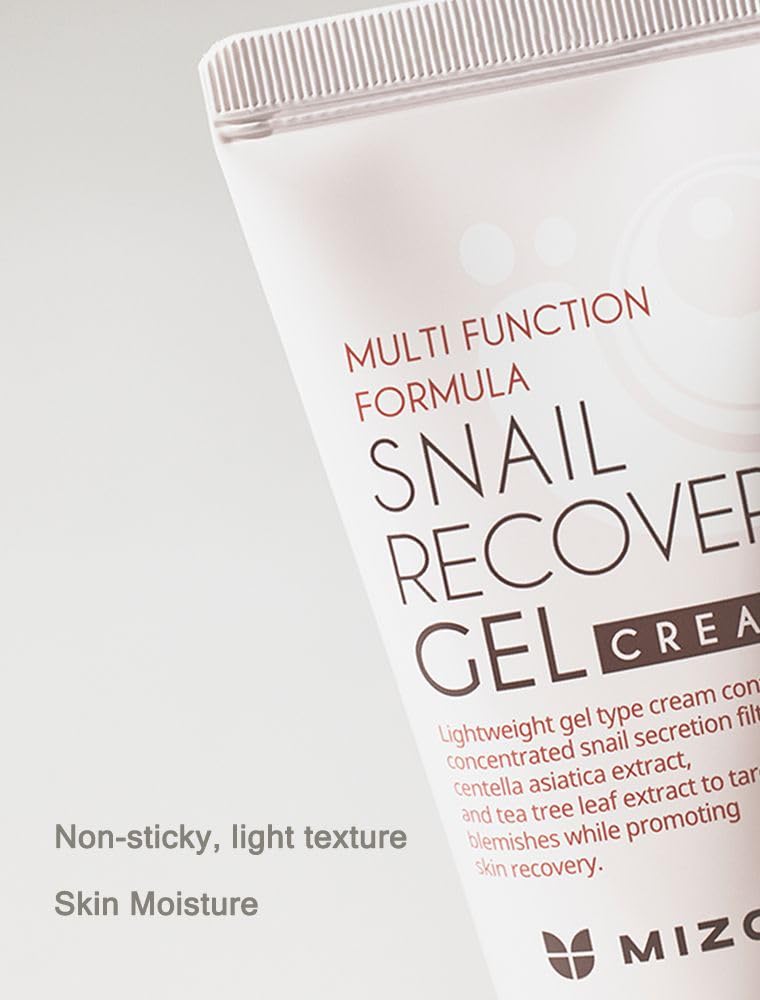 MIZON Set of Two Snail Recovery Gel Cream Snail Mucin for Fine Lines Skin Elasticity Moisture Fragrance-Free Korean Skincare(45ml 1.52 fl.oz -Pack Beauty & Personal Care MIZON