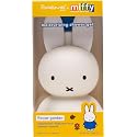 The Crème Shop Miffy Flower Garden Shower Gel, Body Wash with Hydrating and Nourishing Hyaluronic Acid and Niacinamide, Miffy Pump Bottle, Garden Beauty & Personal Care The Crème Shop