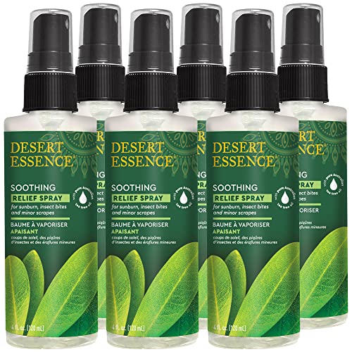 Desert Essence Tea Tree Relief Spray, 4 Ounce -- 6 per case. Beauty & Personal Care Desert Essence