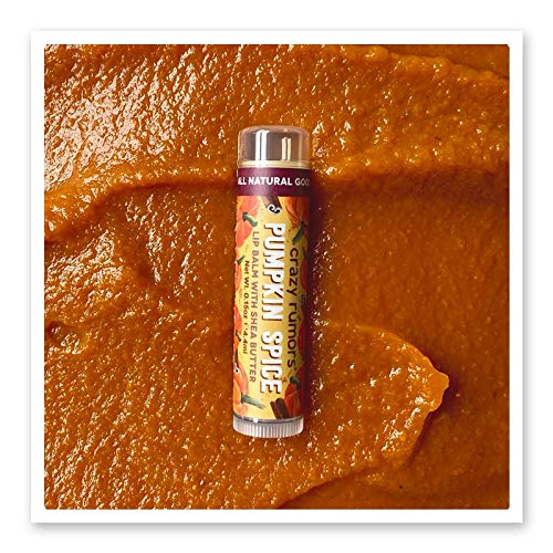 Crazy Rumors Pumpkin Spice Lip Balm. 100% Natural, Vegan, Plant-Based, Made in USA (1-Pack) Beauty and Personal Care Crazy Rumors