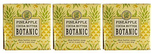 Greenwich Bay Cleansing Spa Soap, Shea Butter, and Cocoa Butter. Blended with Loofah and Apricot Seed, No Parabens, No Sulfates 6.35 Ounce (3 Pack) Beauty & Personal Care Greenwich Bay