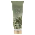 Victoria's Secret FRESH JADE Fragrance Lotion 8oz Beauty & Personal Care Victoria's Secret
