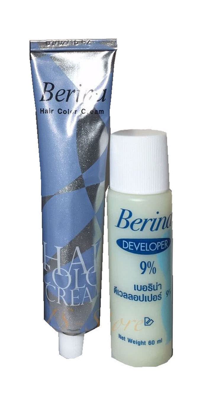 Hair Colour Permanent Hair Cream Dye Light Grey by Berina Beauty & Personal Care Berina