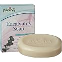 Madina Eucalyptus with Kava Kava Extract Bar Soap [Pack of 2 - Natural - 3.5 oz.] Beauty & Personal Care Madina
