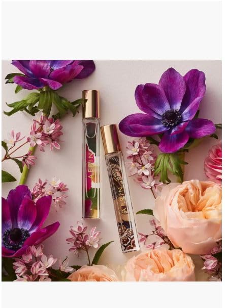 AERIN Amber Musk & Cedar Violet Essentials Gift Set Beauty & Personal Care AERIN