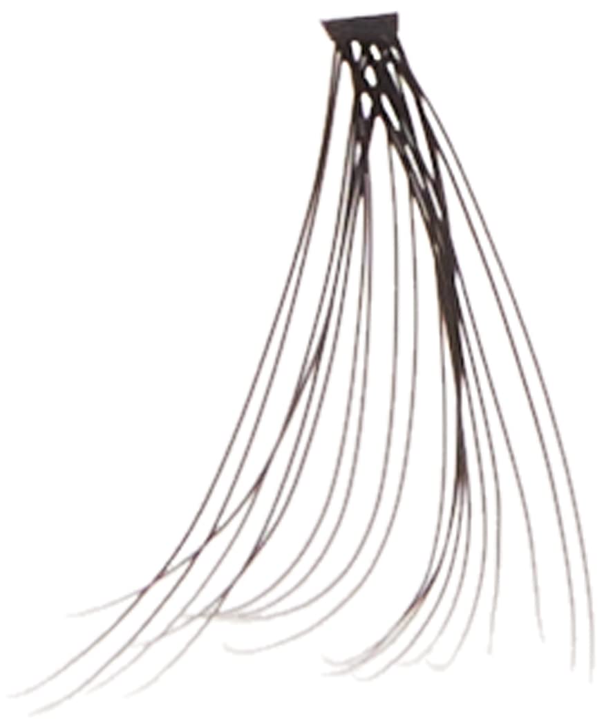 Faux Mink Individuals Long Black Beauty & Personal Care Ardell