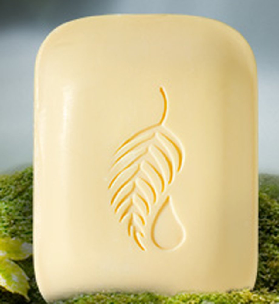 Melaleuca Pineapple Mango Bath Bar 4.5 oz Beauty & Personal Care Melaleuca
