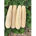 YEMTAL Natural Loofah Sponges Organic Luffa Bath Shower Sponge Exfoliating Body Back Scrubber for Men Women Adults SPA Beauty Bathing Daily Care - 4 Beauty & Personal Care YEMTAL