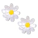 Vokone Flower Claw Clip Acrylic Daisy Sunflower Claw Hair Clip for Women Hair Jaw Grip Strong Holder for Thick Thin Hair (Daisy) Beauty & Personal Care vokone