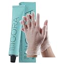 IgoraRoyal Highlifts 12-21 Special Blonde Ash Cendre Permanent Hair Color 2 Fl Oz and Clear Powdered Medium Vinyl Gloves (Bundle) Beauty & Personal Care M Hair Designs