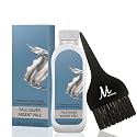 Blondor Pale Silver /81 Liquid Permanent Blondor Toner 2 Fl Oz and M Hair Designs Tint Brush (Bundle) Beauty & Personal Care M Hair Designs