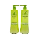 Chihtsai Volume Moisture Olive Shampoo & Conditioner Set (34 Fl.oz) Beauty & Personal Care Chihtsai