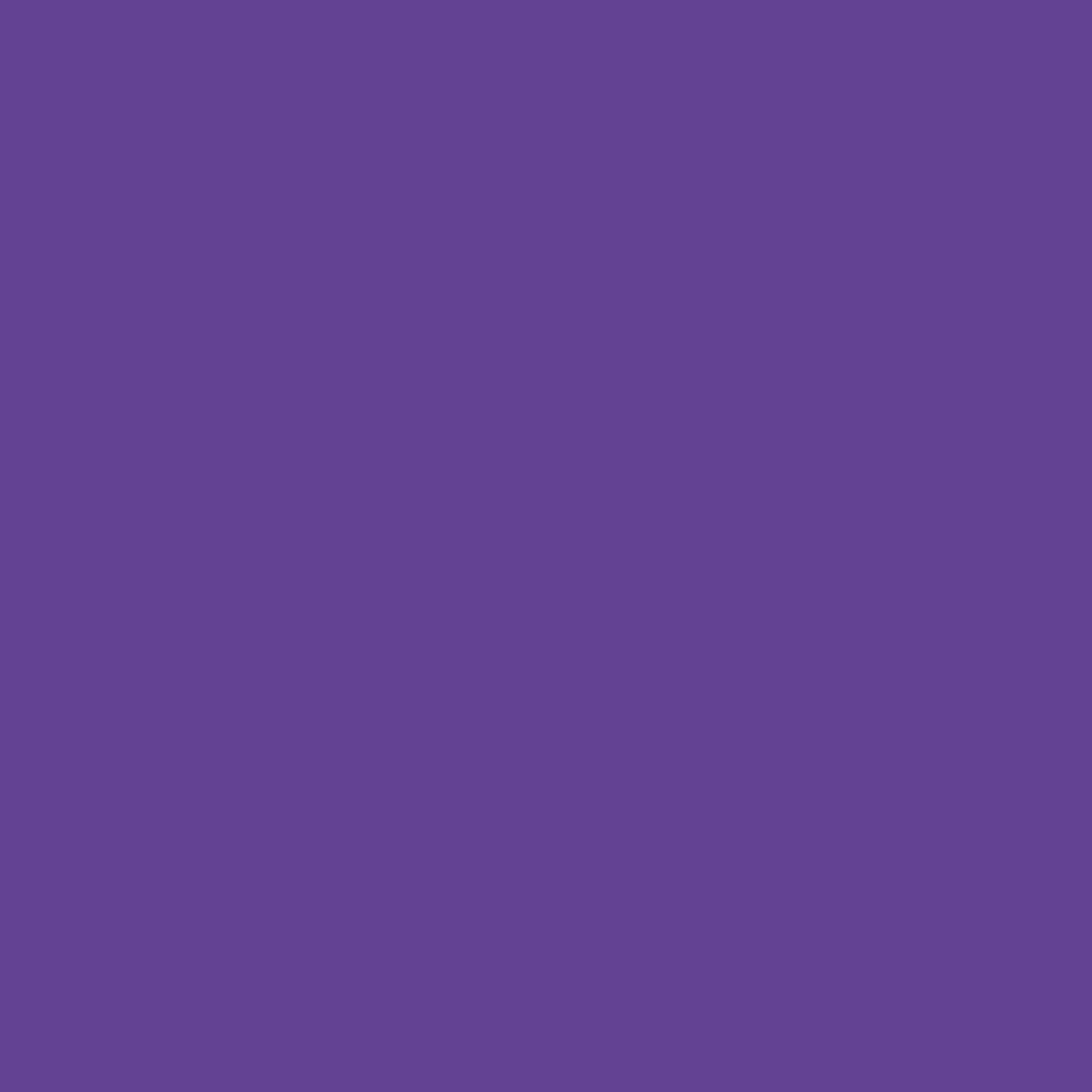 REVLON Colorstay Exactify Liquid Liner, Royal Purple, 0.03 Fluid Ounce Beauty & Personal Care REVLON