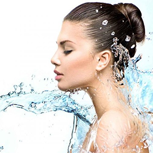 Magnolia Orchid Magnolia Ultra Hydrating Toner Beauty & Personal Care Magnolia Orchid
