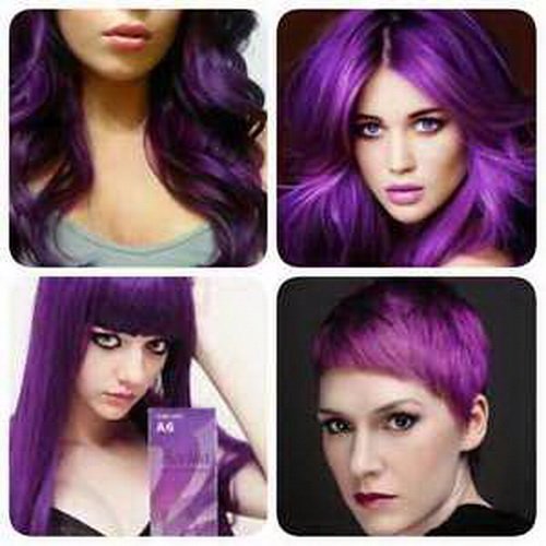 Berina Professionals Hair Color Cream A6 Violet, 60G, 1 Set Beauty & Personal Care Berina