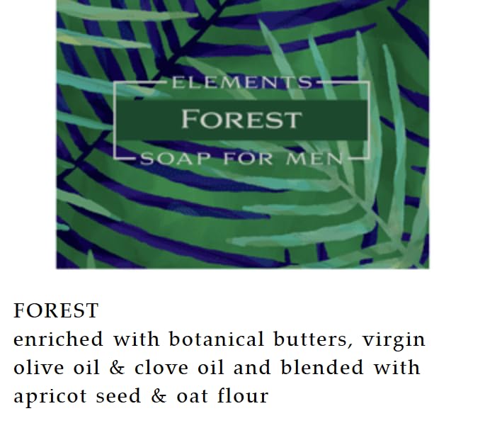 Greenwich Bay Trading Co. Forest Elements Soap For Men, 8.6 oz Bars, Set of 2, Enriched with Botanical Butters and Virgin Olive Oil Beauty & Personal Care Greenwich Bay