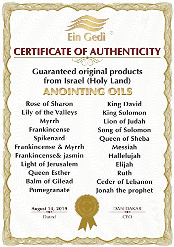 Ein Gedi Anointing Oil 100 ml - 3.4fl oz Blessing From Jerusalem Made In Holyland For Prayer And Blessings Scented With Oils Of The Bible Beauty & Personal Care Ein Gedi
