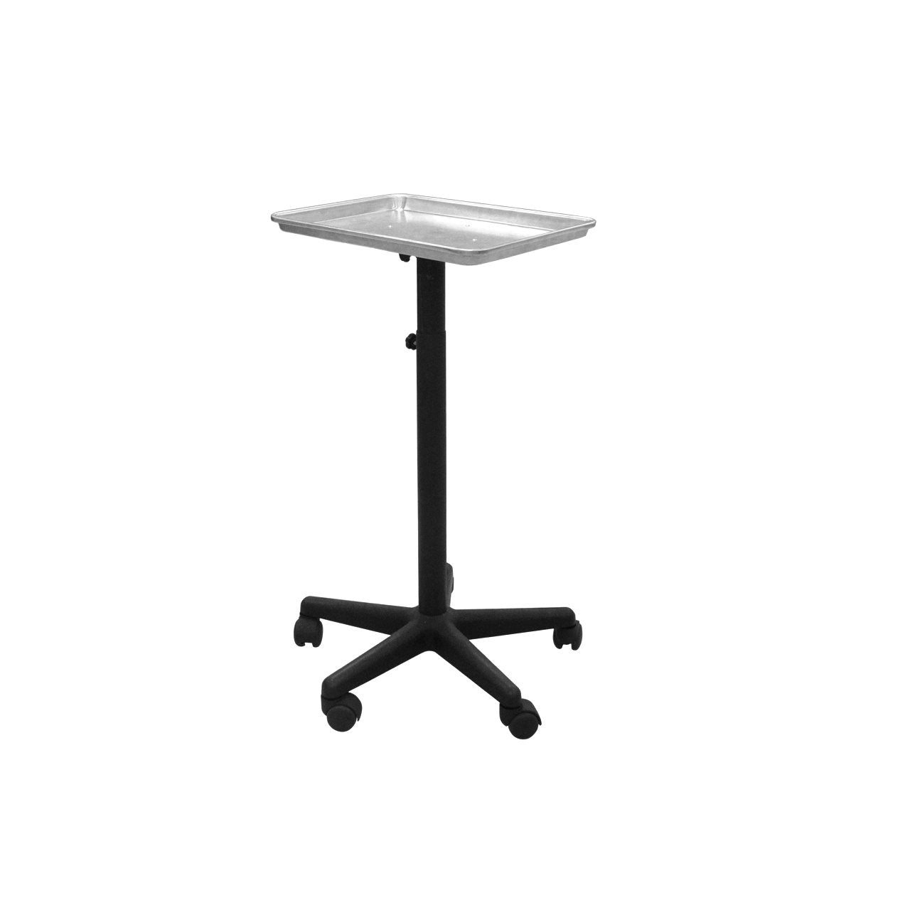 Chromatique Professional Silver Service Tray for Salon Chemical Hair Coloring (Model:T011) Beauty & Personal Care Chromatique Professional