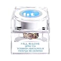 Fall in Love (Glitter Mix) Beauty & Personal Care Lit Cosmetics