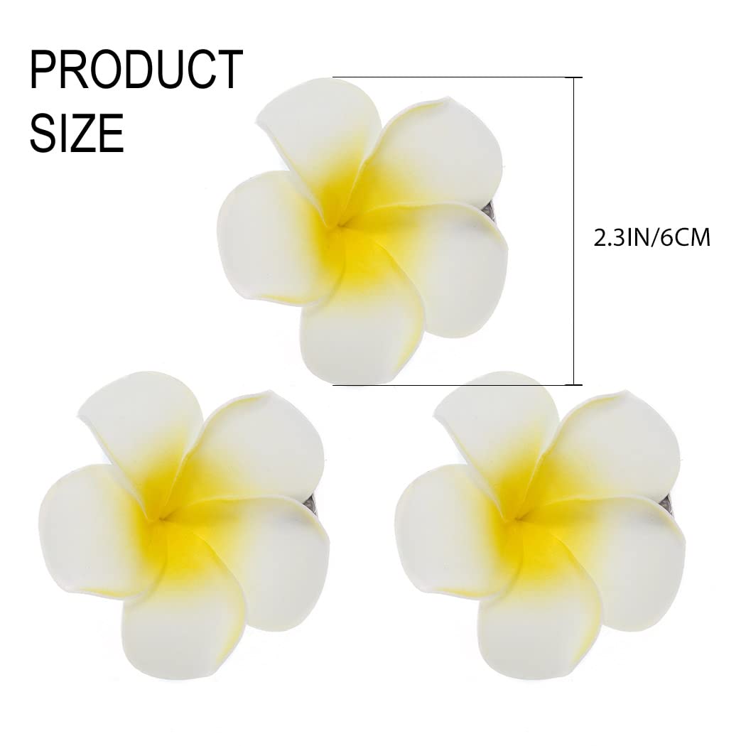 Zoestar Hawaii Flower Hair Clip Plumeria 3pcs Beach Hair Accessory for Women Beauty & Personal Care Zoestar