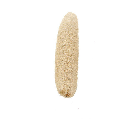 A 100% natural organic sponge bath sponge Premium Quality Lofa Loofa Luffa Loffa for exfoliating your skin Beauty and Personal Care sincepeneer