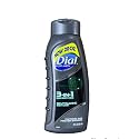 DIAL For Men 20 fl. oz. Revitalizing Body Wash Beauty & Personal Care Dial