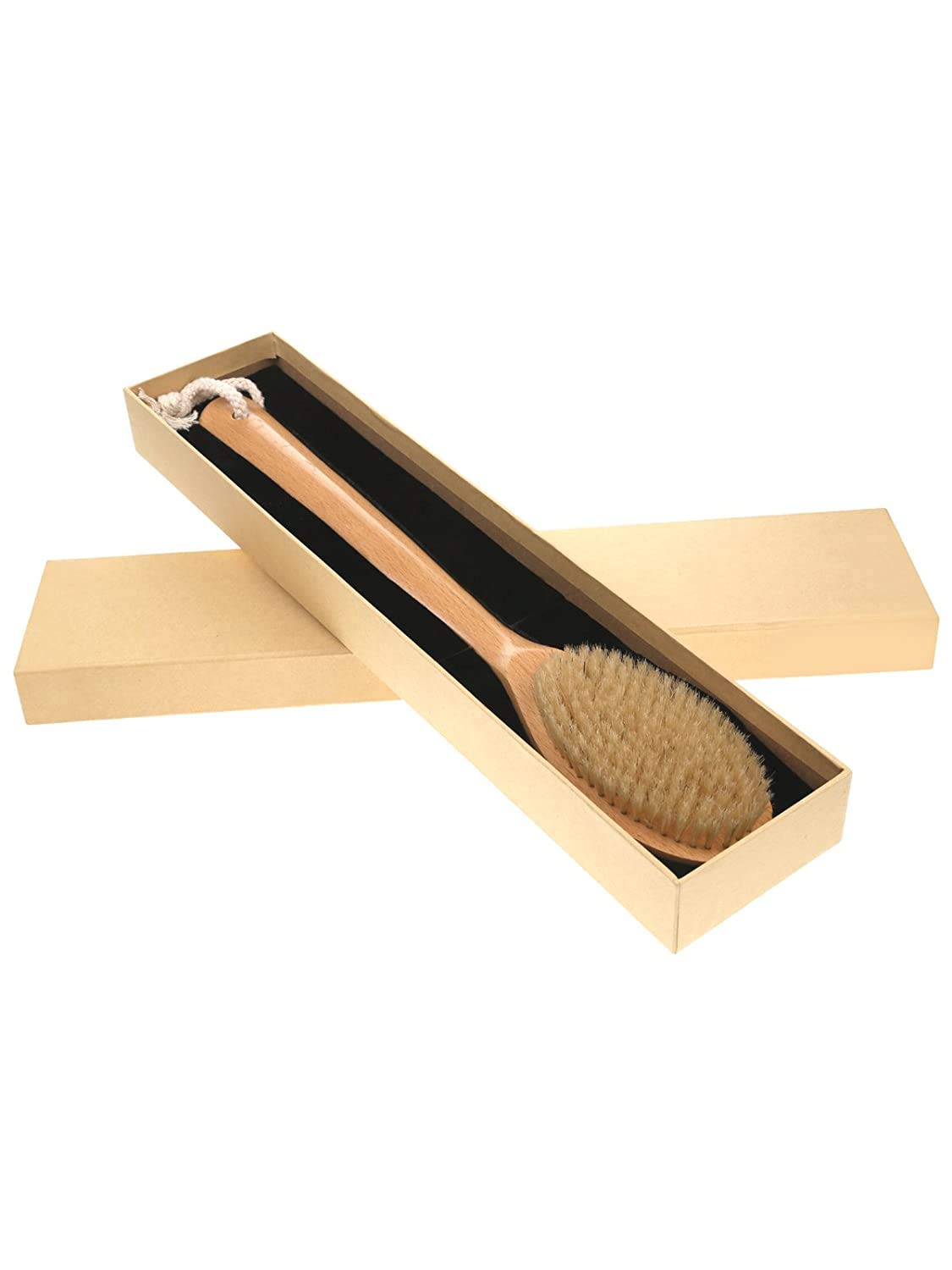 Beechwood Bath and Shower Body Brush with Nature Boar Bristles, Long Hand Wooden Dry Bath Body Back Brush, Perfect Spa Gift Beauty & Personal Care JINYII