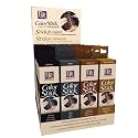 Daggett and Ramsdell Color Stick Pack (Pack of 24) Beauty & Personal Care Daggett & Ramsdell